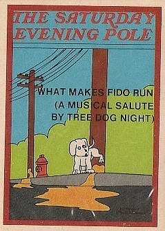 Saturday Evening Pole