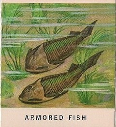 7 Armored Fish