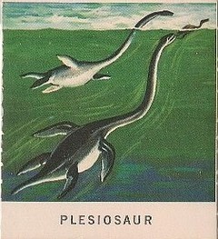 11 Plesiosaurus