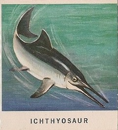 16 Ichthyosaur