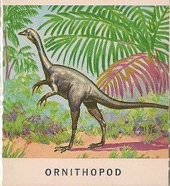 17 Ornithopod