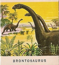 19 Brontosaurus