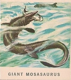 22 Giant Mosasaurus