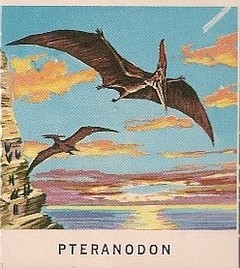 23 Pteranodon