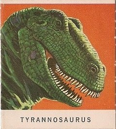 24 Tyrannosaurus Rex