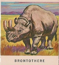 30 Brontothere