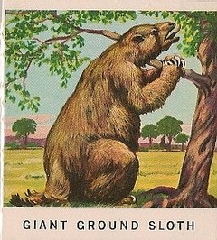 36 Giant Ground Sloth