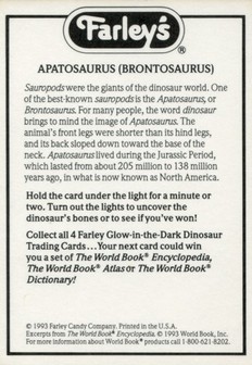 Apatosaurus - Back