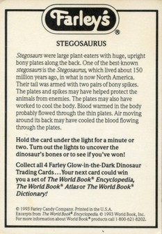 Stegosaurus - Back