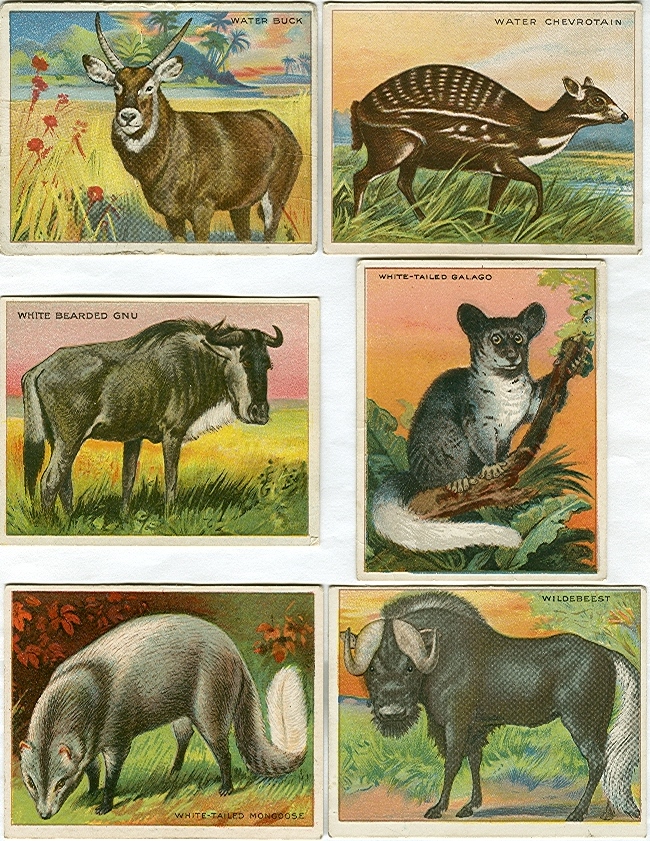 [linked image]