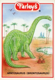 Apatosaurus - Front