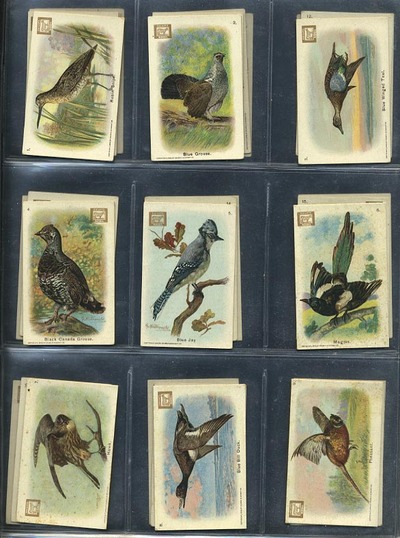 New Series Of Birds Complete 30 card set EX