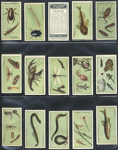 Life in Pond & Stream Complete set of 25 EX